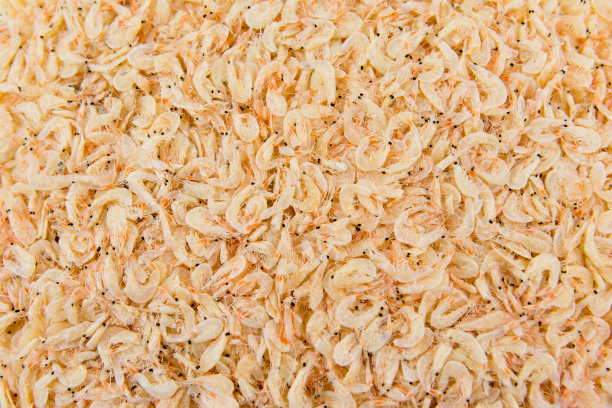 shrimps
