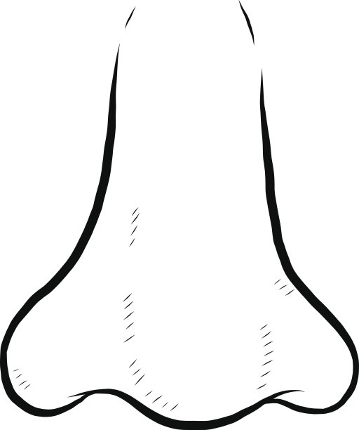 nose