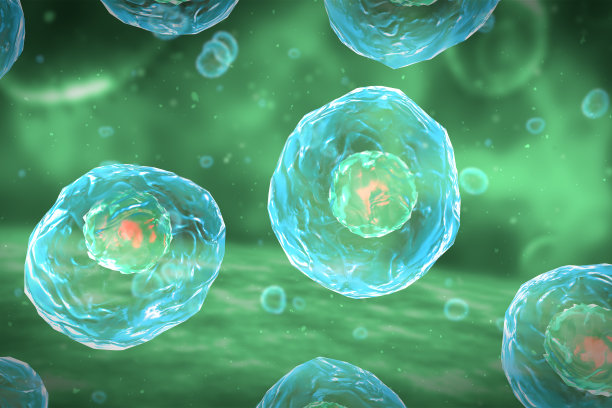 cell