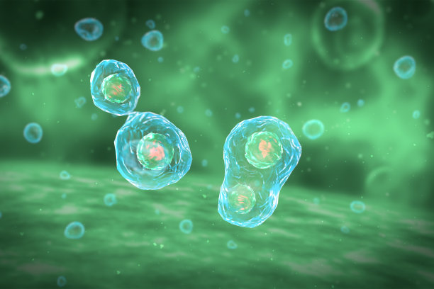 cell