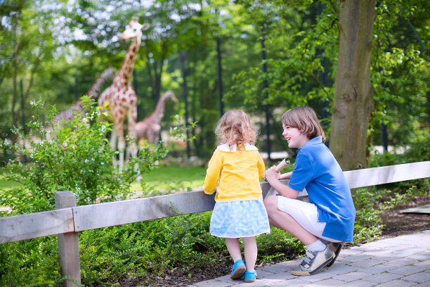 zoo