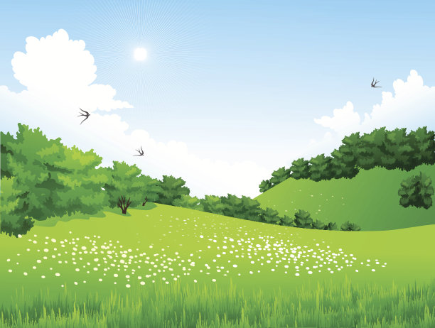 户外蓝天白云草地树林图片