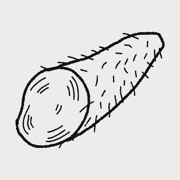 山药插画