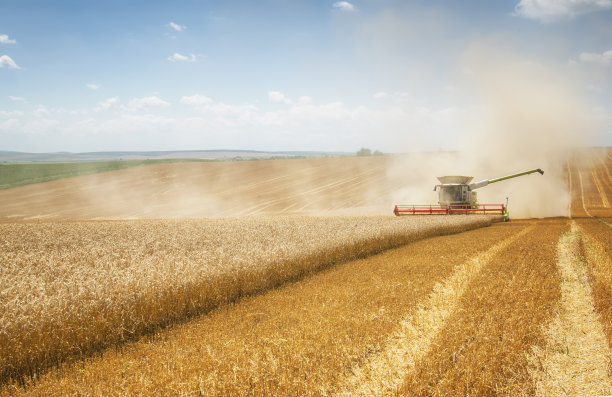 harvest