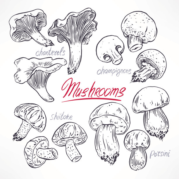 mushroom
