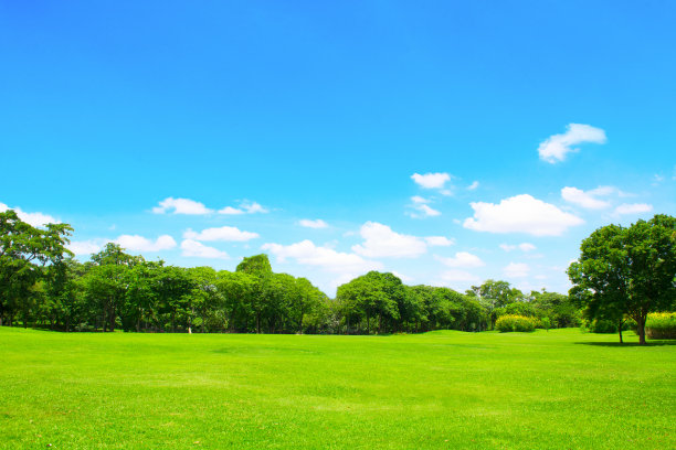 草丛田间地头户外