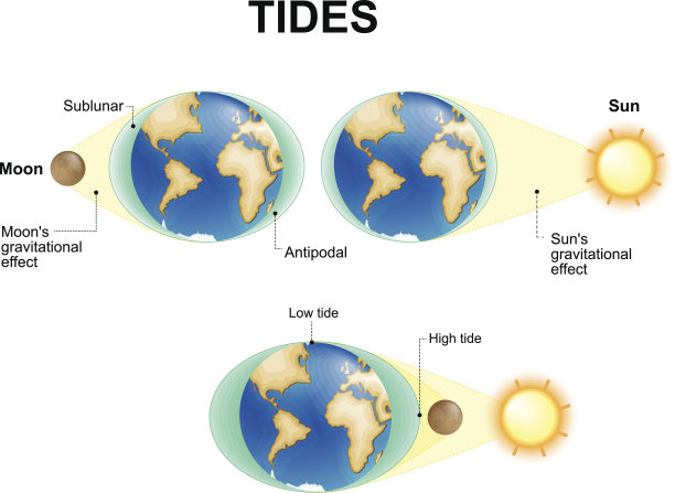 tide