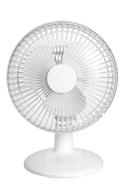 fan