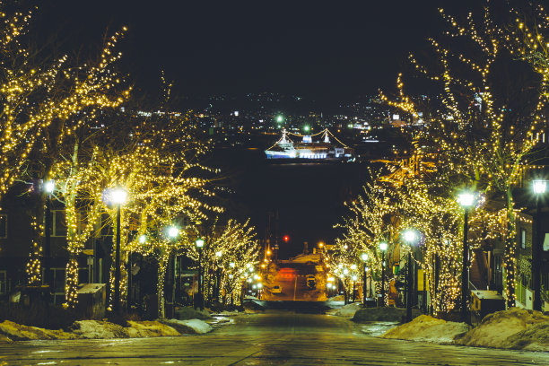 日本北海道函馆俯瞰城市夜景