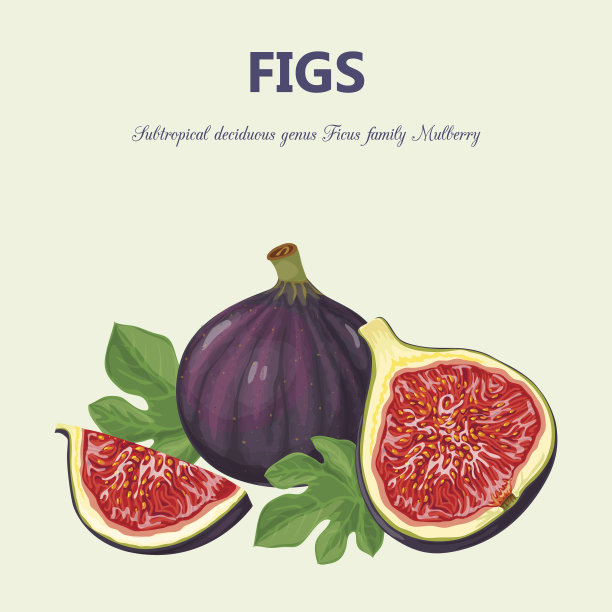 fig