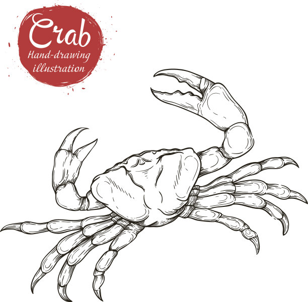 螃蟹插画