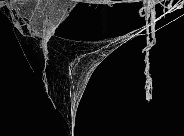 web