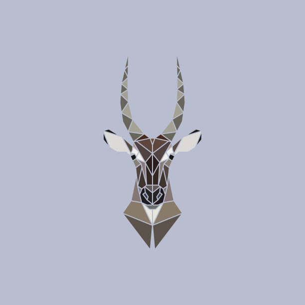 antelope