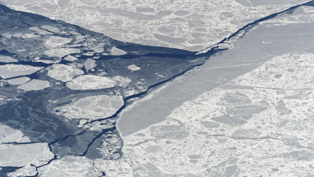 arctic