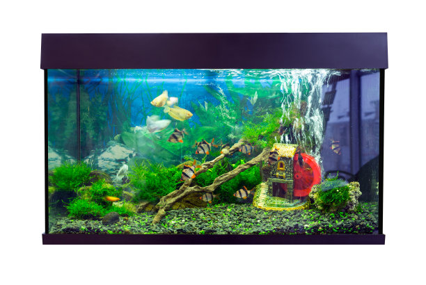 aquarium