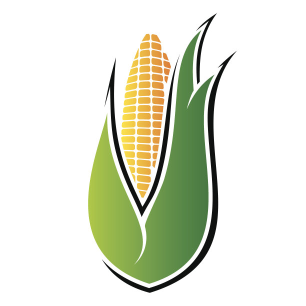 成分,生食,清新