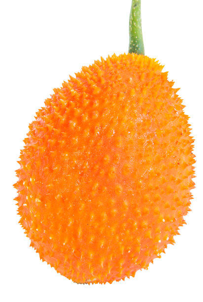 菠萝蜜高清摄影图