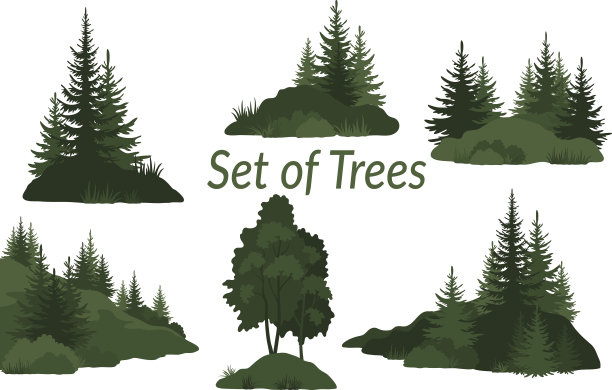 spruce