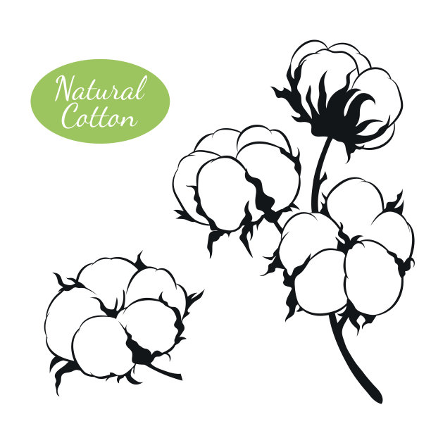 cotton