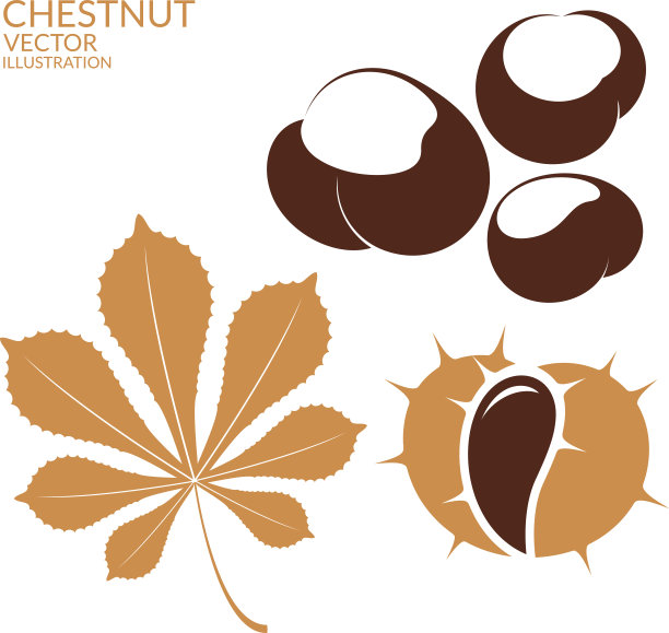 chestnut