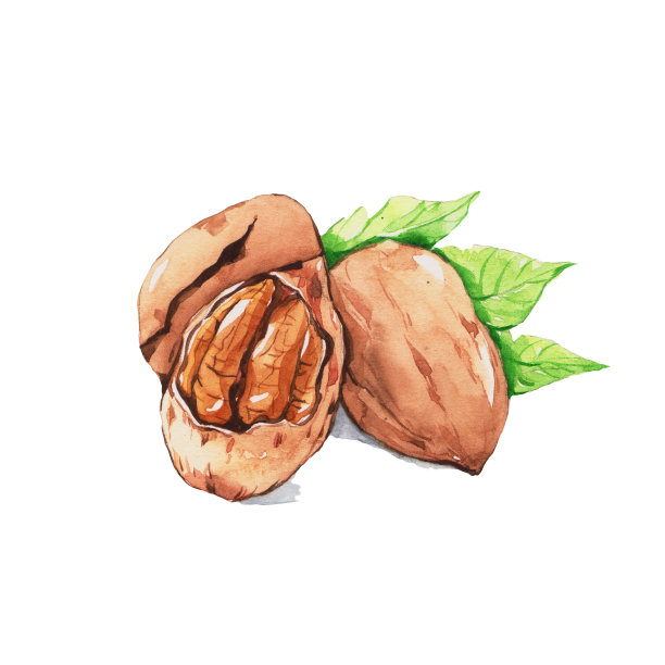 pecan