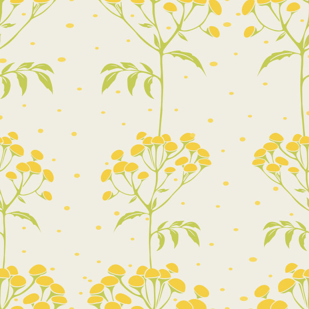 tanacetum