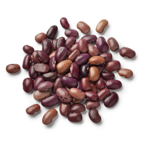 legume