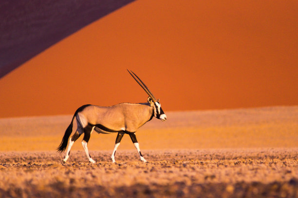 namibia