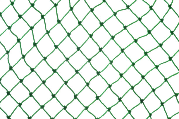 net