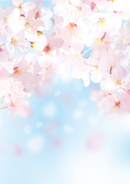 springtime