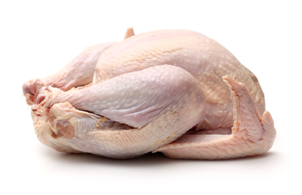 chicken