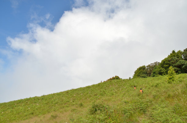 hills