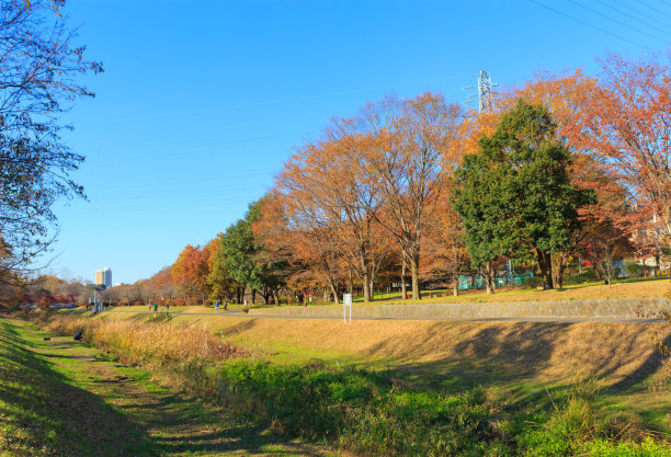 小金井市