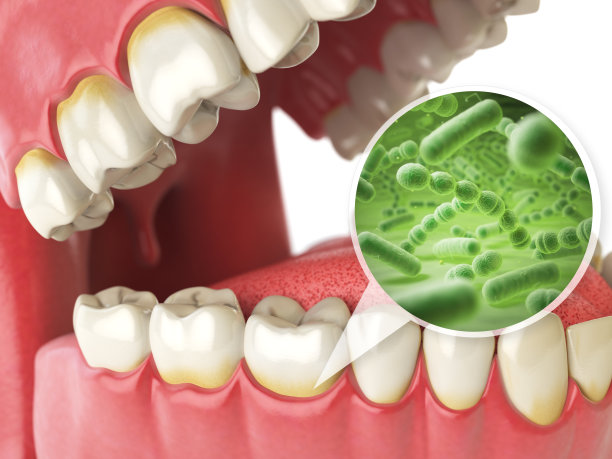bacteria