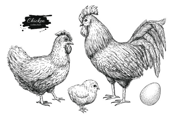 hen