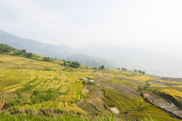 贫困山区