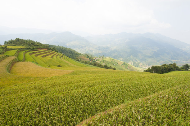 贫困山区