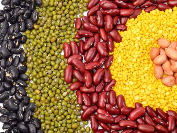 legume