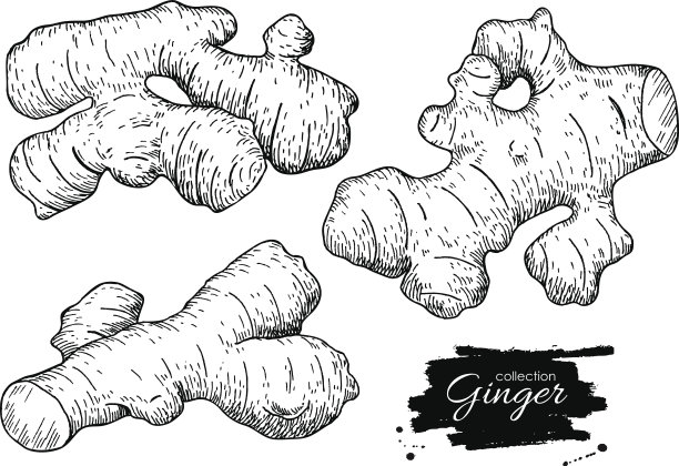 ginger