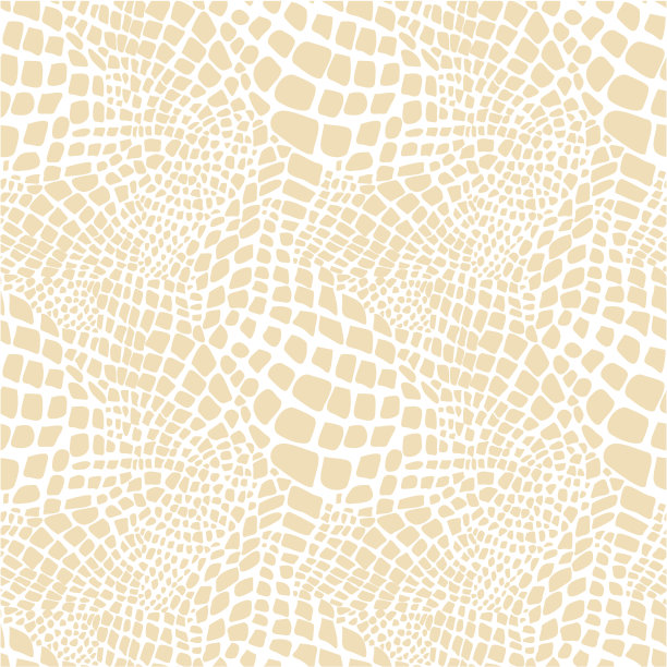 鳞纹矢量插画
