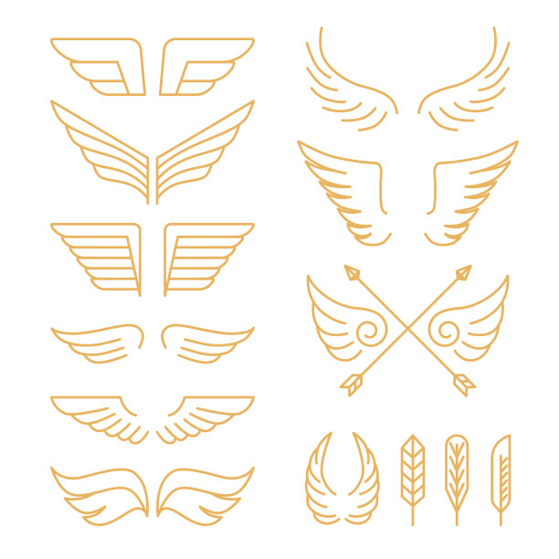 wings