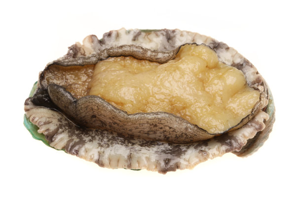 abalone