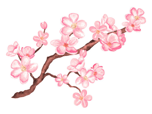 梅