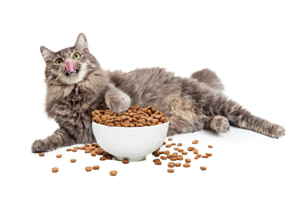 eating