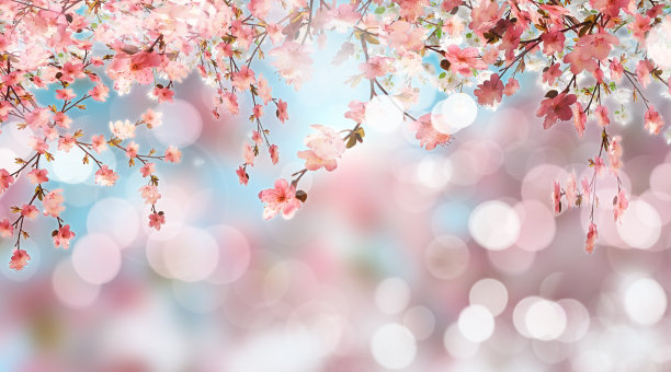 春天的树与春天的花