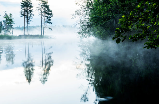 湖上的雾