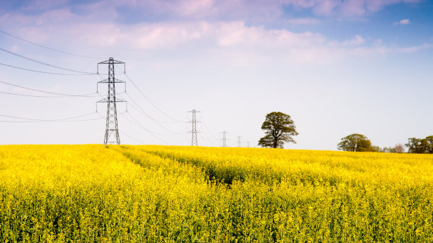 pylons