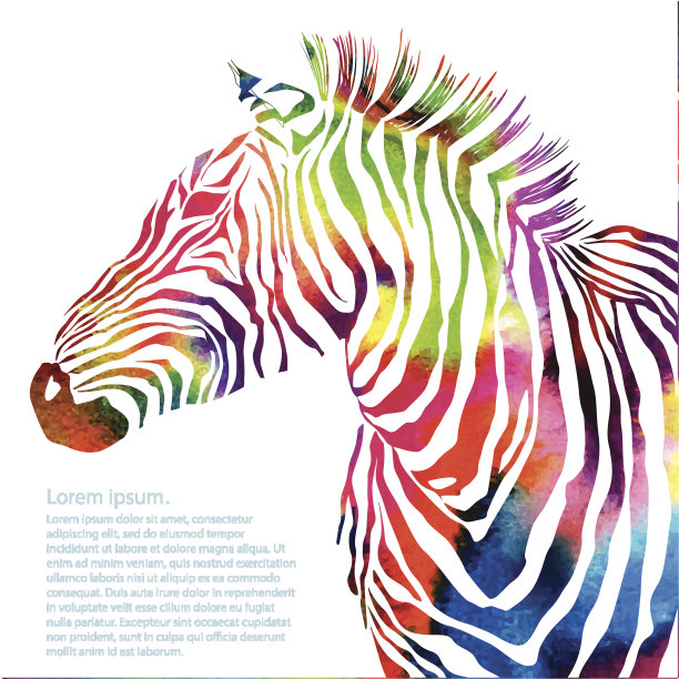 zebra