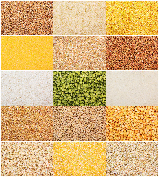 小米粮食杂粮米粒