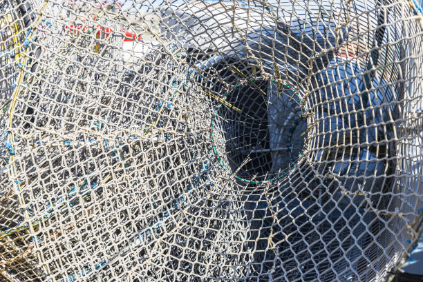 虾笼渔网